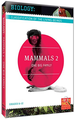Biology Classification: Mammals II