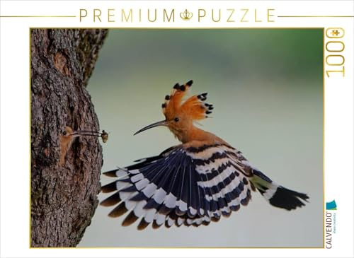 CALVENDO Puzzle EIN Motiv aus dem Kalender Wiedehopf | 1000 Teile Lege-Größe 64 x 48 cm Foto-Puzzle für glückliche Stunden