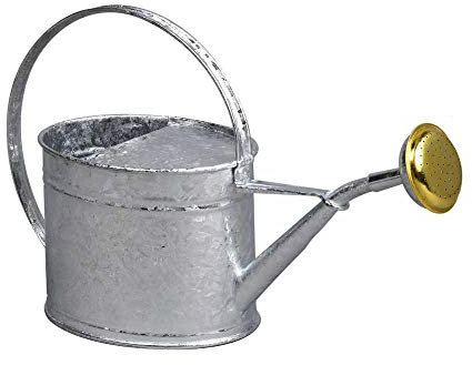 GUILLOUARD 80320 regadera, gris, neutro