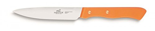 SABATIER – 6er-Set Fleischmesser Serie 197 – 10 cm – Klinge aus rostfreiem Stahl und Messingnieten – Perfekt zum präzisen Schneiden von gekochtem und gebratenem Fleisch.