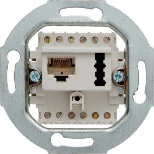 BERKER UAE 8(6)/TAE 6 F+N Modul-Einsätze pws ma 458809