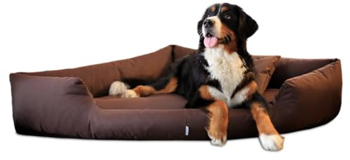 tierlando® Orthopädisches Hundebett Trivia aus Robustem Polyester, Platzsparendes Dreieckbett mit Visco-Matratze, Größe: 100x100cm | Farbe: 01 Braun