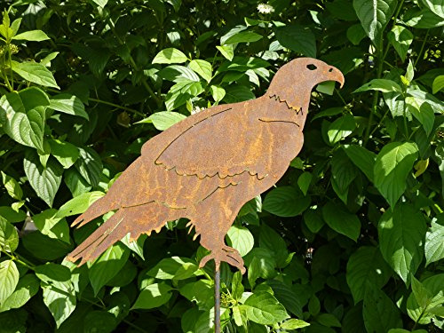 Albert Hechinger Edelrost Habicht Vogel Gartenstecker