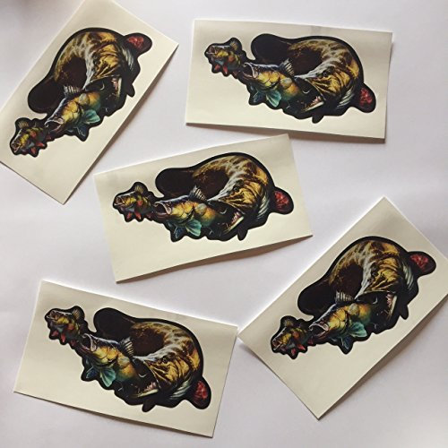 Schönheits Shop 5X Aufkleber 14x7cm Angeln Angelaufkleber Hecht Barsch Zander Fishing Auto Köderbox Pike Bass Angelkoffer
