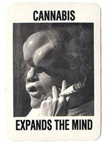Blazin Trading Limited FUN - DRUG - Cannabis Expands The Mind - Aufkleber/Sticker - ca. 6,5 x 9,5 cm