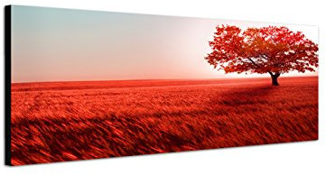 Augenblicke Wandbilder Keilrahmenbild Wandbild 150x50cm Landschaft Wiese Baum rot Licht