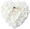 Mystery&Melody Romantische herzförmige weiße Rose Kissen Hochzeit Ehering Box Ringkissen mit eleganten Blumen Kissen Satin Ring (White)