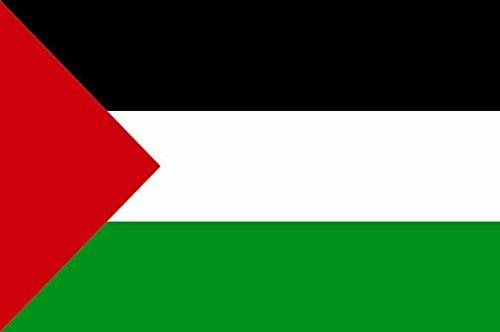 U24 Autocollant Drapeau Palestine 15 x 10 cm Autocollant pour voiture