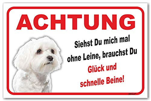 AdriLeo Schild - Vorsicht Malteser - Ohne Leine - (15x20cm) / Achtung Hund Wachhund robust langlebig UV-beständig wetterfestes Warnschild