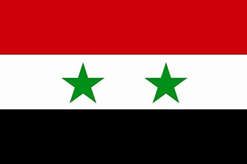 U24 Fahne Flagge Syrien 60 x 90 cm