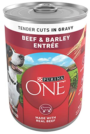 Purina ONE Beef & Barley Wet Dog Food, Tender Cuts in Gravy (12) 13 oz Cans