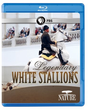 Nature: Legendary White Stallions [Blu-ray]