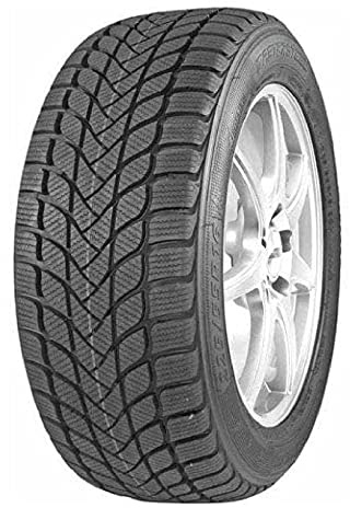 MASTERSTEEL 185/60R15 88H TL WINTER PLUS 1