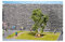 NOCH Baum mit Ruhebank, Modellbaum für Landschaftsgestaltung, 11,5 cm hoch, ideal für H0 Maßstab