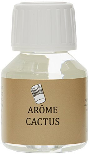 SélectArôme Arôme Cactus 58 ml - Lot de 4