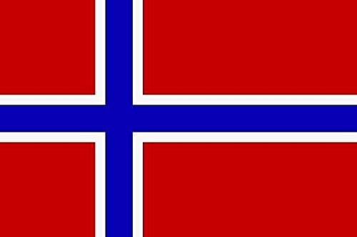 U24 Aufkleber Norwegen Flagge Fahne 8 x 5 cm Autoaufkleber Sticker