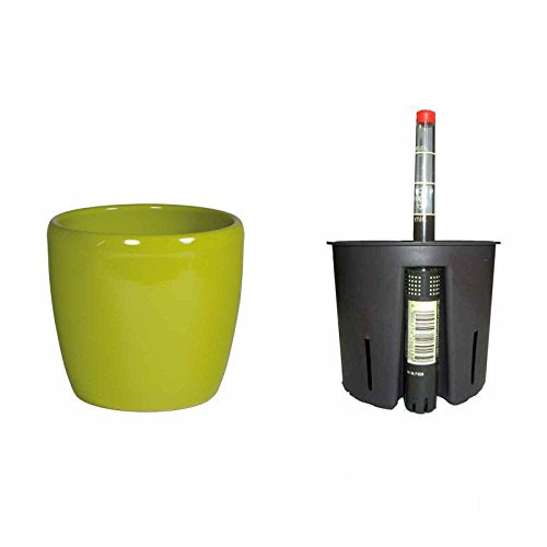 Set Blumentopf Venus 09/07 schilfgruen Ø 11.5 H 8cm+Kulturtopf+Wasserstandsanzeiger