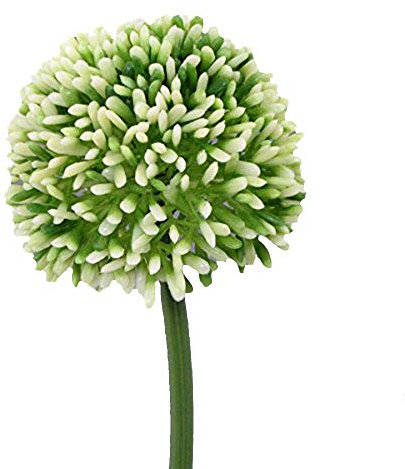 Kunstblumen 1 Stück Allium 44 cm WEISS-GRÜN-43