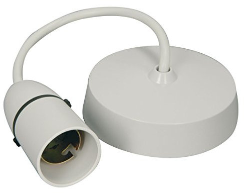 6 Ceiling Rose and Light Pendant Set Lamp Light Bulb Holder White Plastic x 1