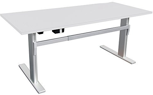 Dila GmbH Schreibtisch höhenverstellbar in Lichtgrau Ergonomisch Elektrisch B 160 cm x T 80 cm Bürotisch Arbeitstisch | elektrisch höhenverstellbarer Büroschreibtisch