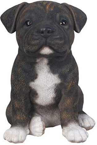 Vivid Arts - Pet Pals Brindle Staffordshire Home or Garden Decoration (PP-STF4-F)