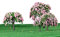 GoolRC 4 Stück Kunststoff Modell Bäume Zug Layout Garten Landschaft Weiß und rosa Blumen Bäume Diorama Miniatur Rosa (Typ1)