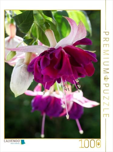 CALVENDO Puzzle Fuchsie Heri Mochara | 1000 Teile Lege-Größe 48 x 64 cm Foto-Puzzle für glückliche Stunden