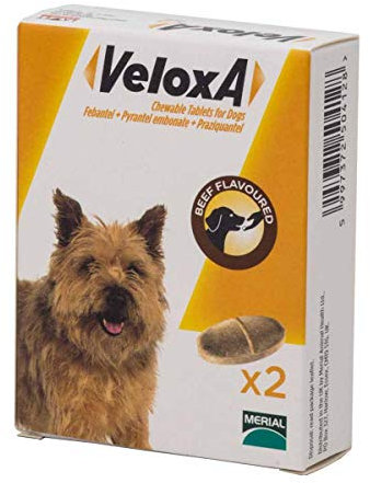 Veloxa Chewable Dog Wormer, 2 Tablets