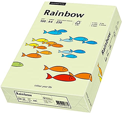 Papyrus 88042593 Drucker-/Kopierpapier farbig, Bastelpapier: Rainbow 160 g/m², A4, 250 Blatt, hellgrün