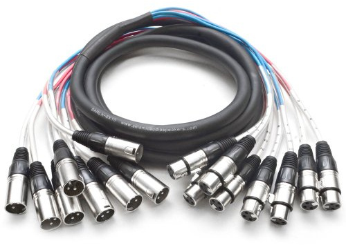 Seismic Audio - 8 Channel XLR Snake Cable - 10 Feet Long - Pro Audio Snake for Live Live, Recording, Studios, and Gigs - Patch, Amp, Mixer, Audio Interface 10'