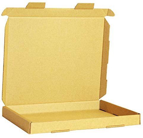 100x Versandkarton Versandtasche Briefkarton Großbrief Post Karton DIN A5-230 x 160 x 20 mm