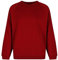 Trutex Crew Neck School Sweatshirt (1-16+ Years), Unisex School Uniform Boys and Girls, Standard Fit School Jumpers for Boys and Girls, School Sweatshirt Kids - Genuine School Uniform Wine