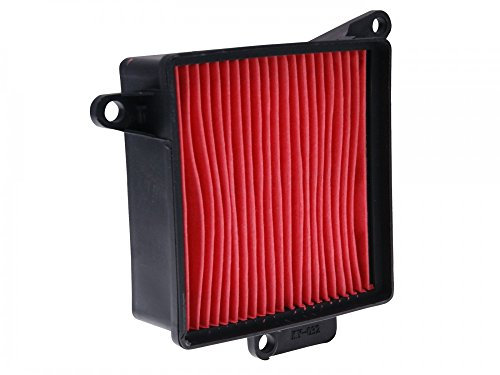 Filtro dell' aria per Kymco Agility 125, Movie 125