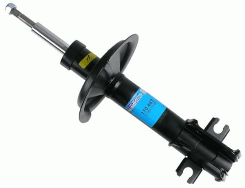 Sachs 170493 Vibration Damping
