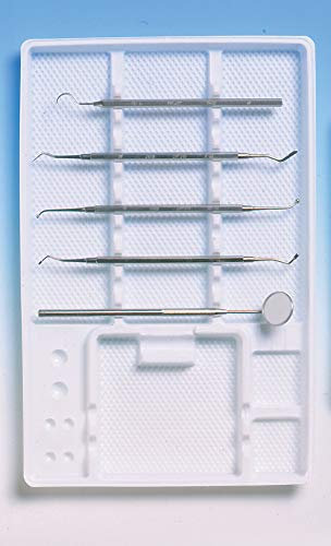 Glove Club Ltd - Disposable Plastic Tray Inserts 18 x 28 cm