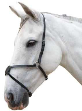 Hy Mexican Grakle Noseband-Cob-Black