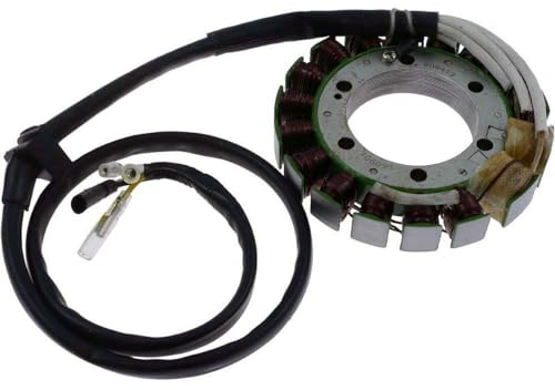 Lichtmaschine/Stator XR 600 R (85-00) High Powerssen)
