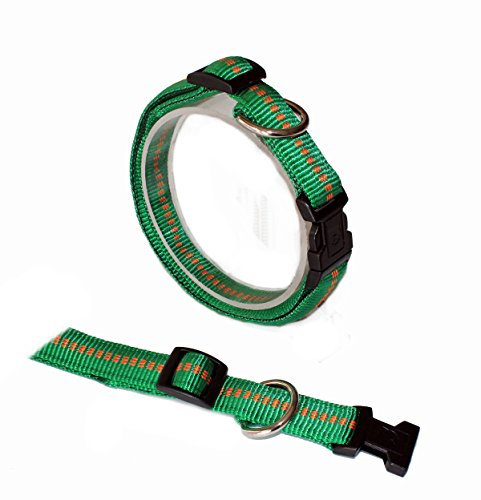 Koch G3302012 Nylon-Halsband gepolstert mit Klickverschluss stufenlos verstellbar, M, grün