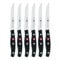 ZWILLING Twin Pollux Steakset 6 x 30728-120 210 x 250 mm