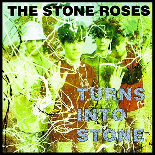 Turns Into Stone [Vinyl LP]