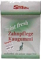 Mint Fresh Zahnpflege Kaugummi 2 x 33 gr