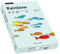 Papyrus 88042698 Druckerpapier Rainbow 80 g/m², A3 500 Blatt hellblau