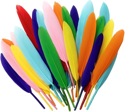 Craft Feathers for Crafting, 40 Long Coloured Feathers, Large 14cm Quills | fancy dress and dressing up, hats and caps