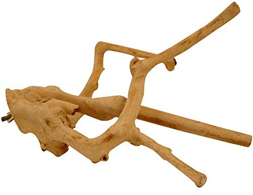 Java Multibranch Medium