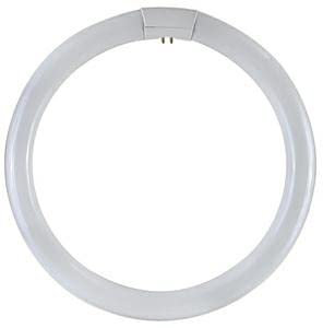 Tubo fluorescente trifosforo circular Duralamp . G10q . 4 pin . 32w . 30 ø . 6500k