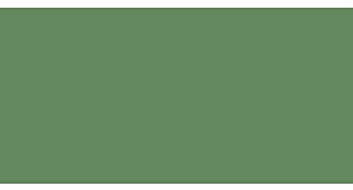 ShinHan TOUCH TWIN Art Marker Broad Chisel / Fine Bullet Tips - Deep Olive Green