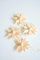 Rudolphs Schatzkiste Baumbehang Holzsterne 4er Set BxHxT=7x7x2cm NEU Weihnachten Baumschmuck Holzschmuck Holz Seiffen Erzgebirge Strauchbehang Dekoration