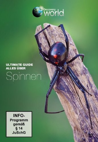 Ultimate Guide - Alles über Spinnen - Discovery World