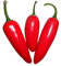 Media Jalapeno Rosso -> 10 Semi di Samenchilishop