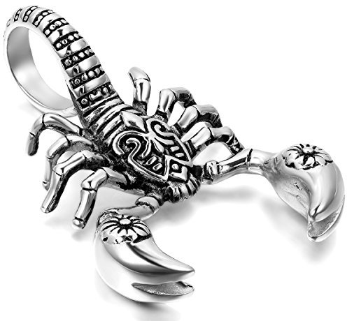 Cupimatch Herren Halskette Skorpion Anhänger Biker Herren Edelstahl König Anhänger Halskette, 55,9 cm Kette